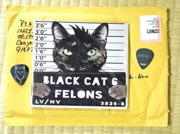 BLACK CAT 6のニューアルバムとオリジナル・ピック