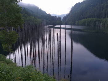 朝の自然湖
