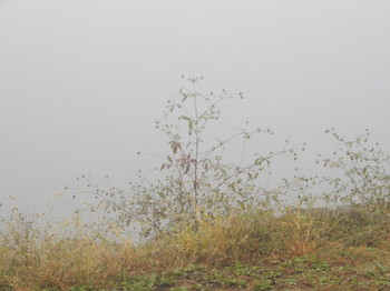 霧の北竜湖