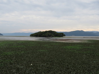 琵琶湖を眺める