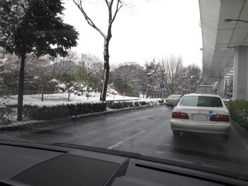 名古屋市内の雪