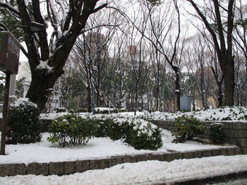 名古屋・栄セントラルパークの雪景色