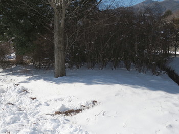 小黒川PAは雪で真っ白