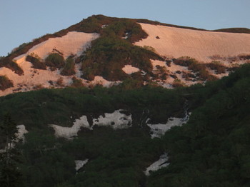 朝日に染まる栂池自然園の山の残雪