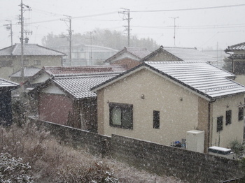 1月24日夕方に降り出した雪