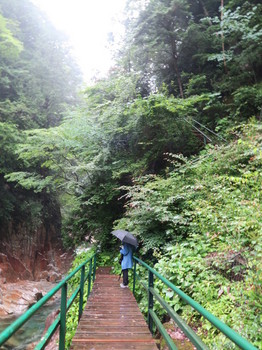 柿其渓谷・牛ヶ滝へ向かう途中の階段