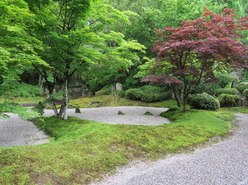 定勝寺の庭