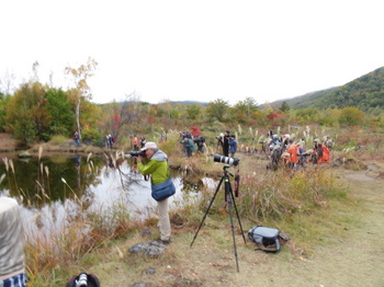 池を狙うカメラ群