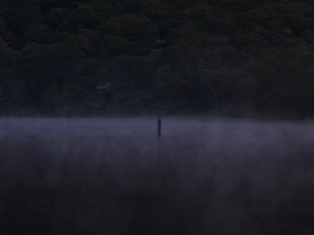 早朝の鏡池の湖面