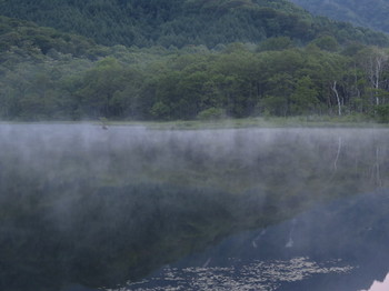 鏡池の湖面を渦巻く霧