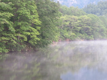 霧の鏡池